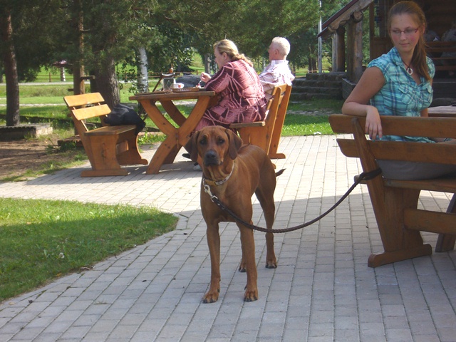 Kraunamas paveiksliukas...